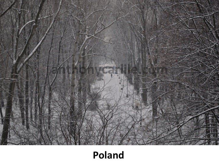 Anthony Carlile_9.jpg